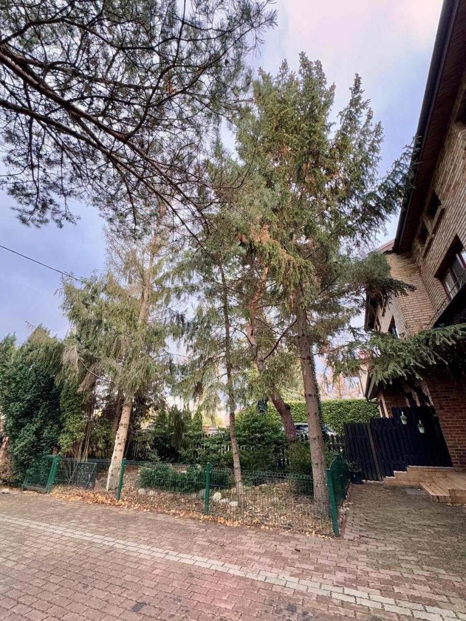 Vector Home Warszawa Exteriör bild